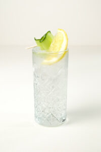 Gin Tonic